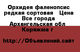 Орхидея фаленопсис редкая сортовая › Цена ­ 800 - Все города  »    . Архангельская обл.,Коряжма г.